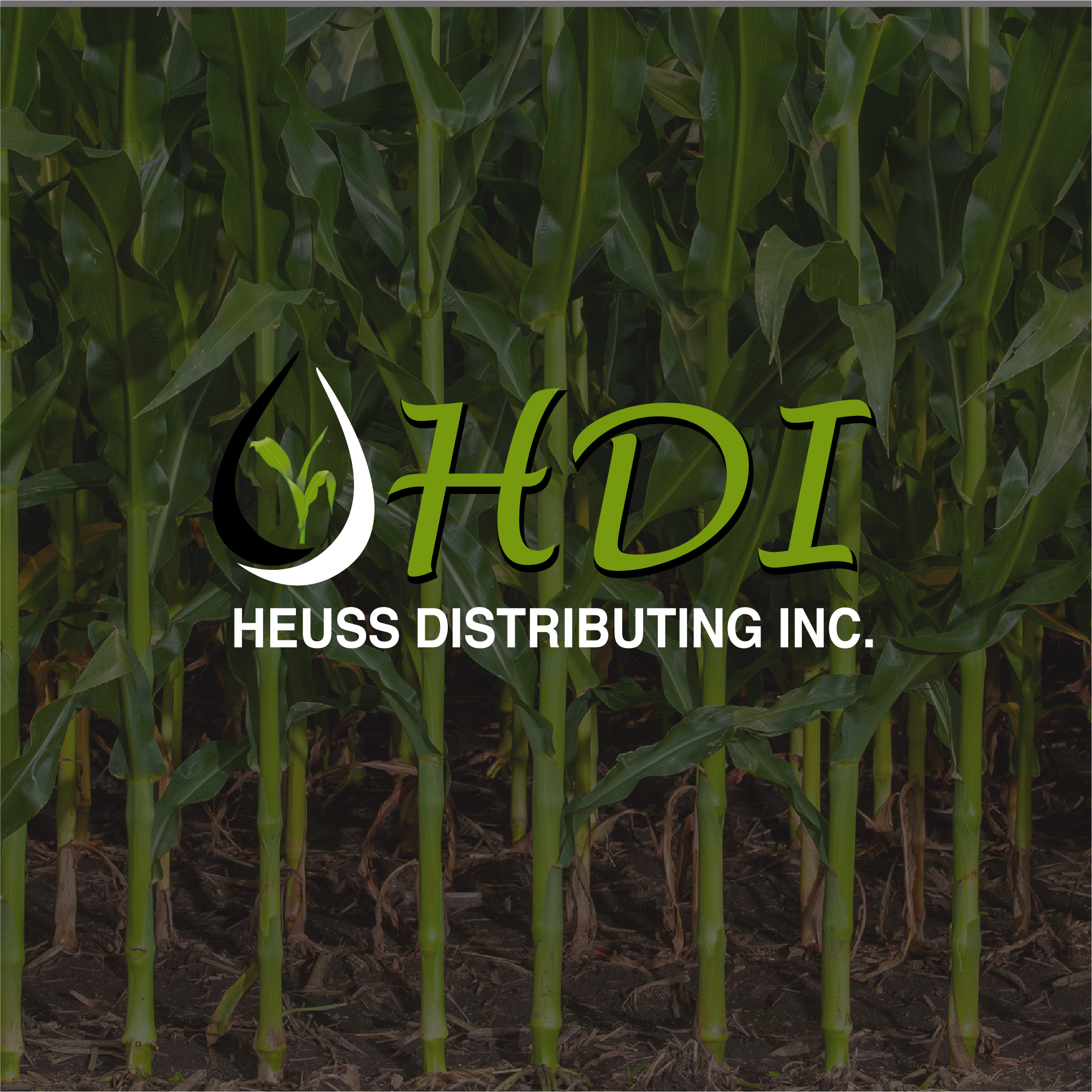 HDI
