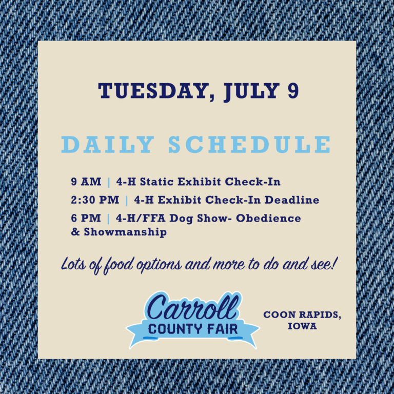 Daily Schedule_Fireworks-01