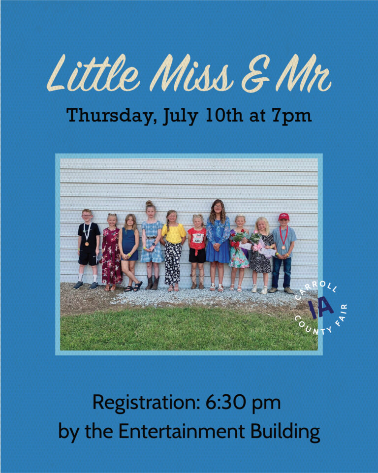 LittleMissMr